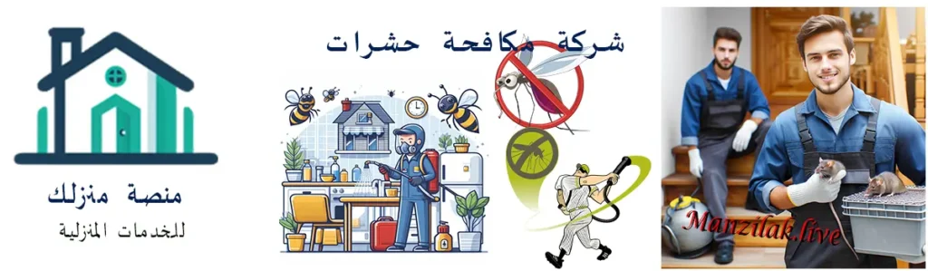 شركة مكافحة الحشرات بالقاهرة