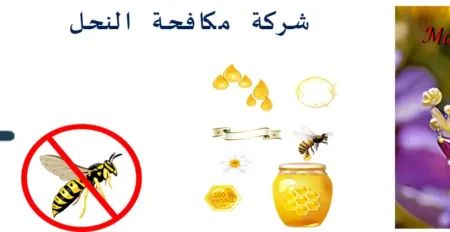 شركة مكافحة النحل بالخرج | شركة مكافحة الحشرات ثقة 100%