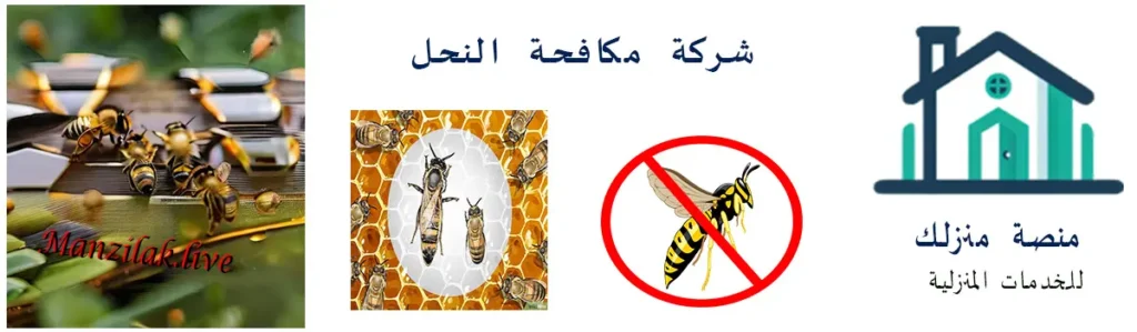 شركة مكافحة النحل بحفر الباطن