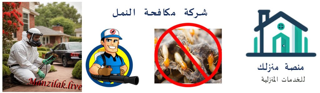 شركة مكافحة النمل الابيض بالقاهرة
