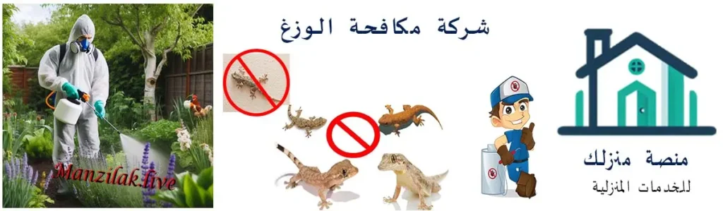 شركة مكافحة الوزغ بخليص