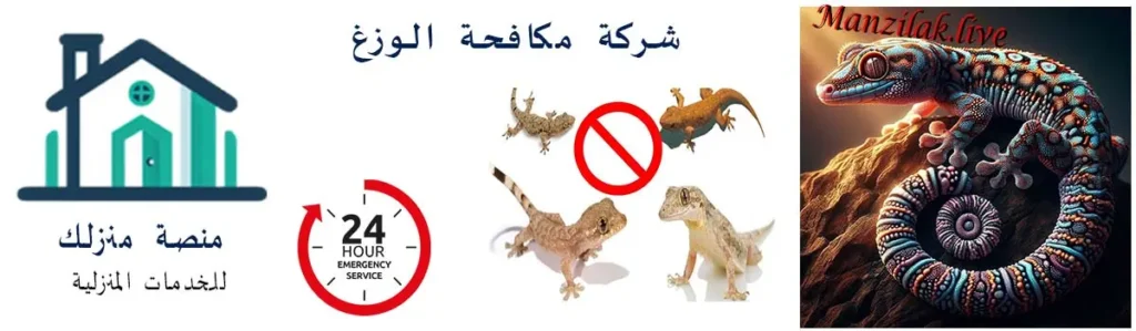 شركة مكافحة الوزغ بخليص