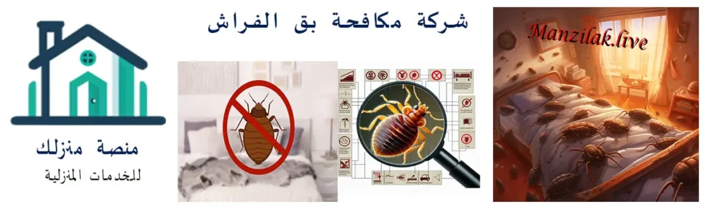 شركة مكافحة البق في الطائف