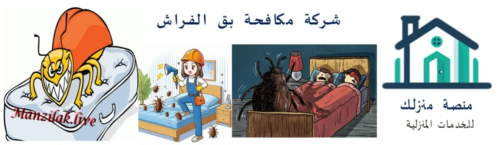 كيفية التخلص من بق الفراش بالمدينة المنورة